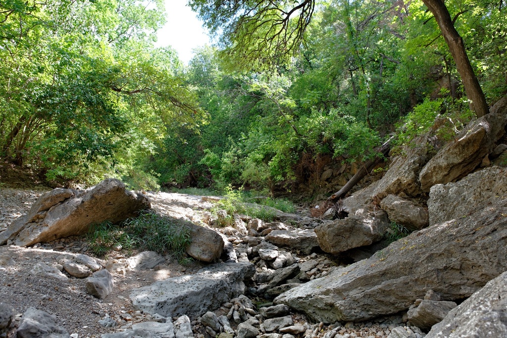The Shoal Creek Greenbelt offers an unexpected retreat in the heart of Austin.